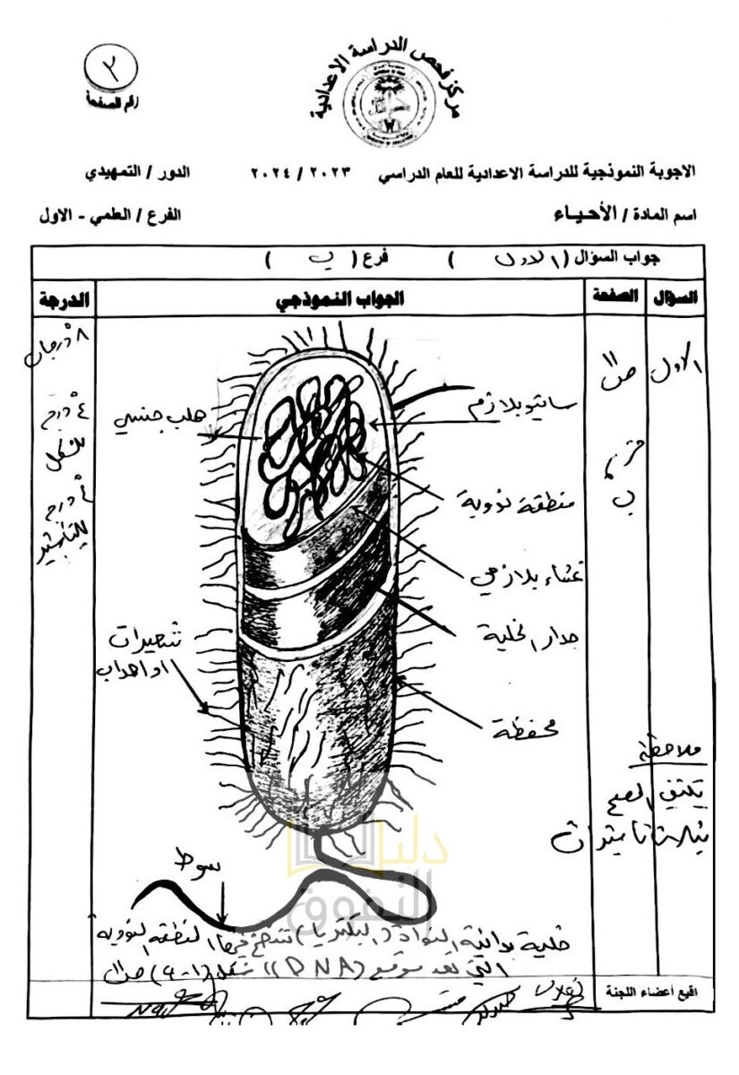 3-7 - موقع دليل التفوق