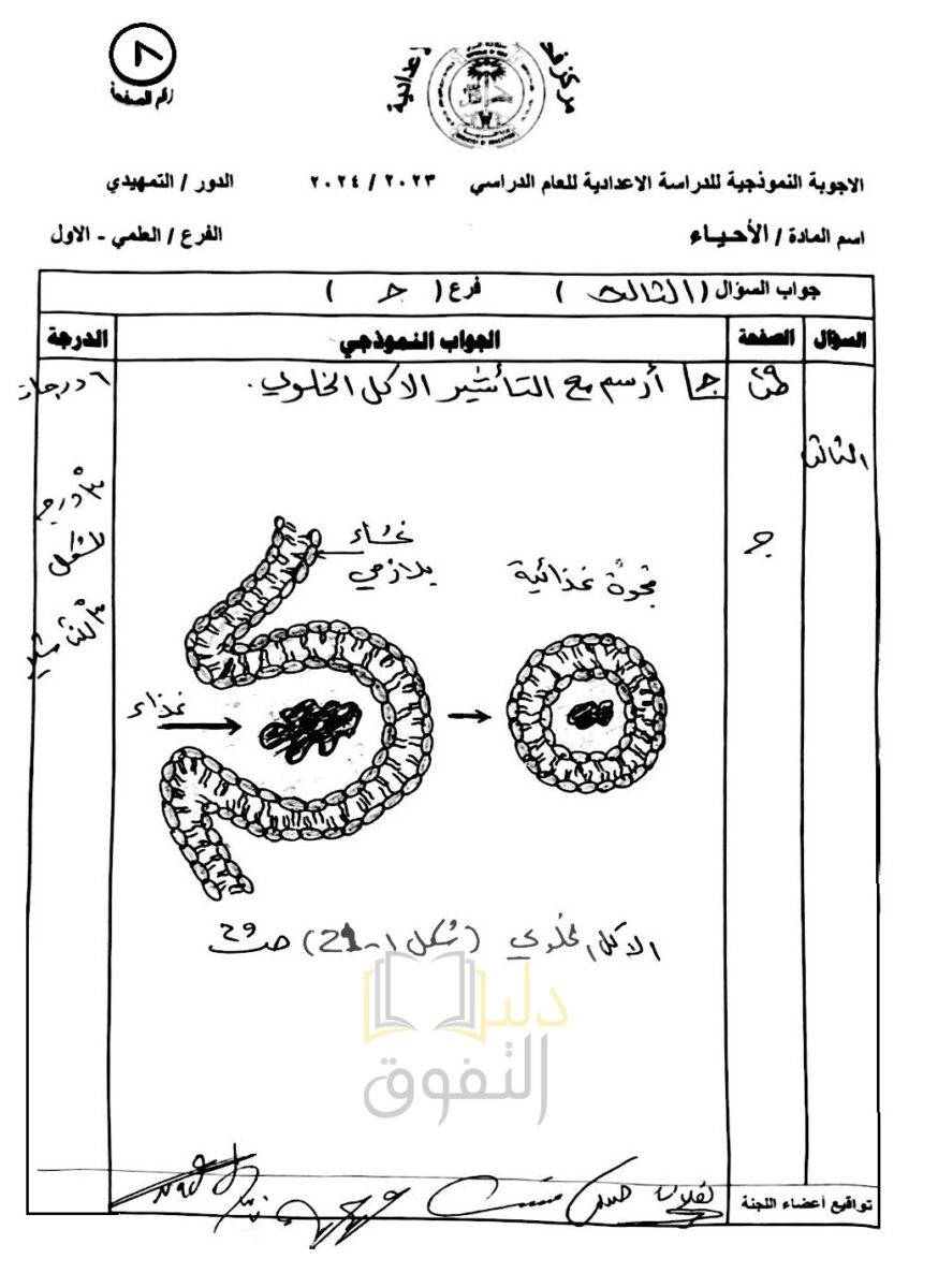8-7 - موقع دليل التفوق