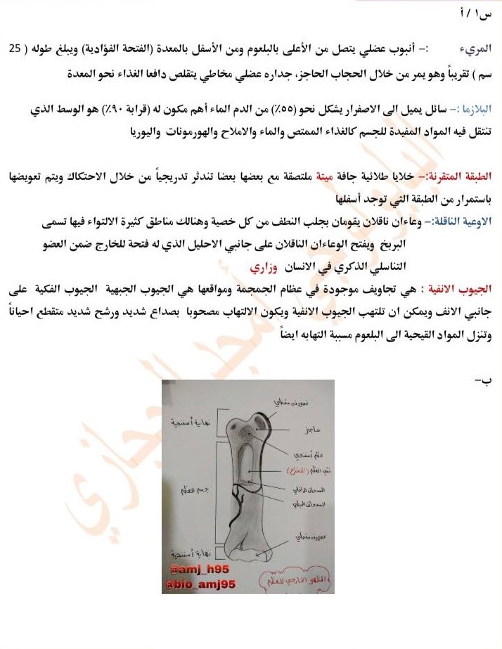 الحل-1 - موقع دليل التفوق
