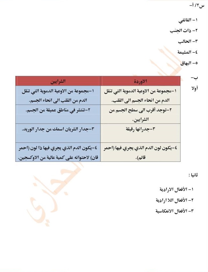 الحل-2 - موقع دليل التفوق