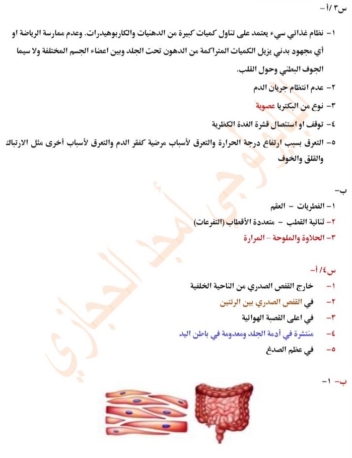 الحل-3 - موقع دليل التفوق