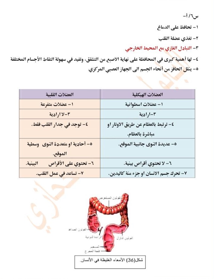 الحل-5 - موقع دليل التفوق