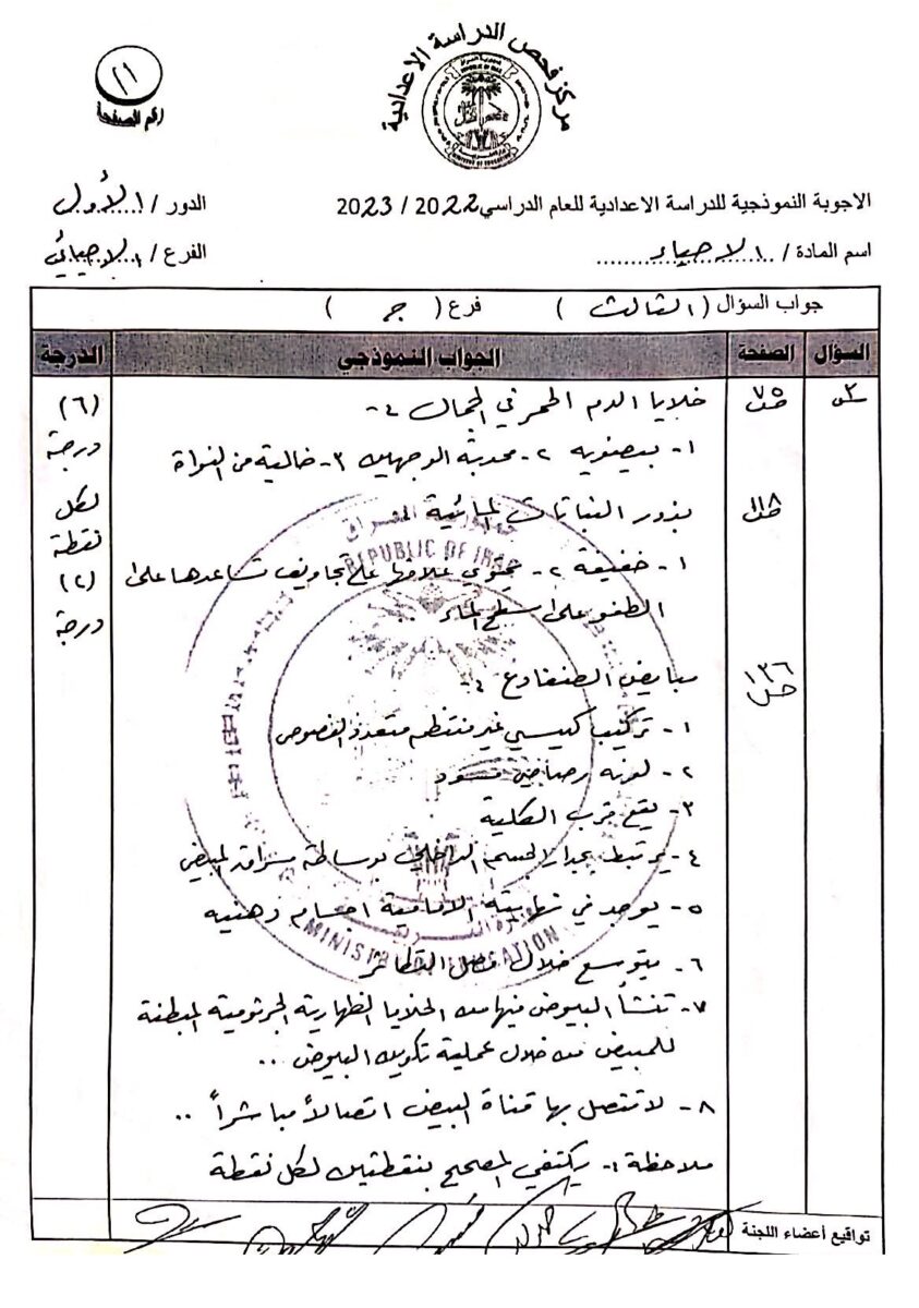 11 - موقع دليل التفوق