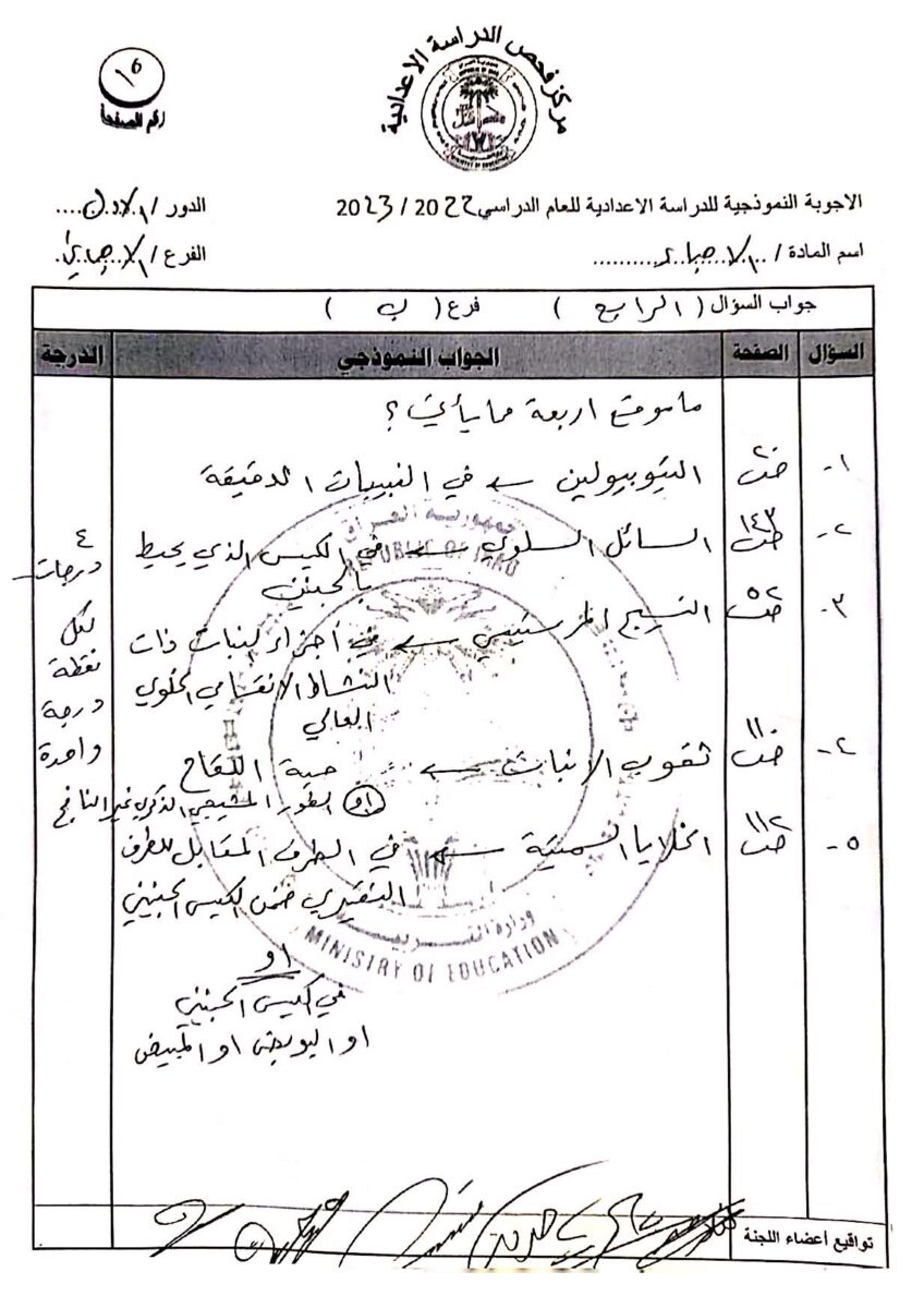 15 - موقع دليل التفوق