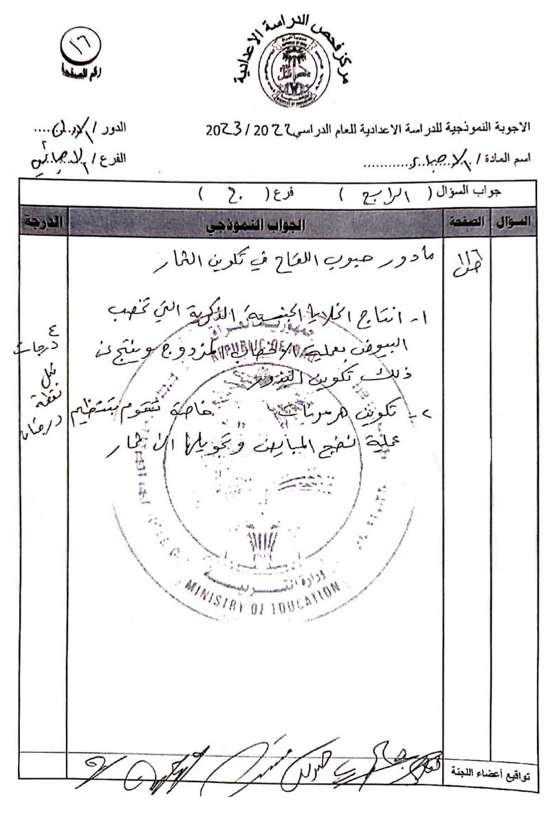 16 - موقع دليل التفوق