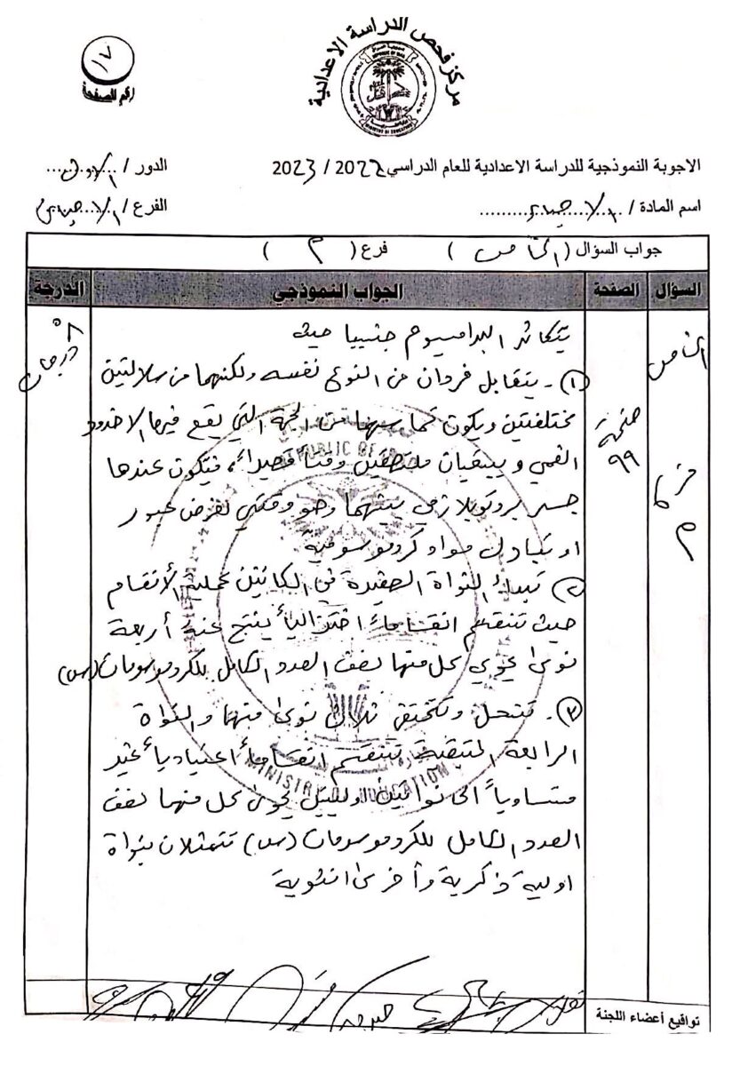 17 - موقع دليل التفوق