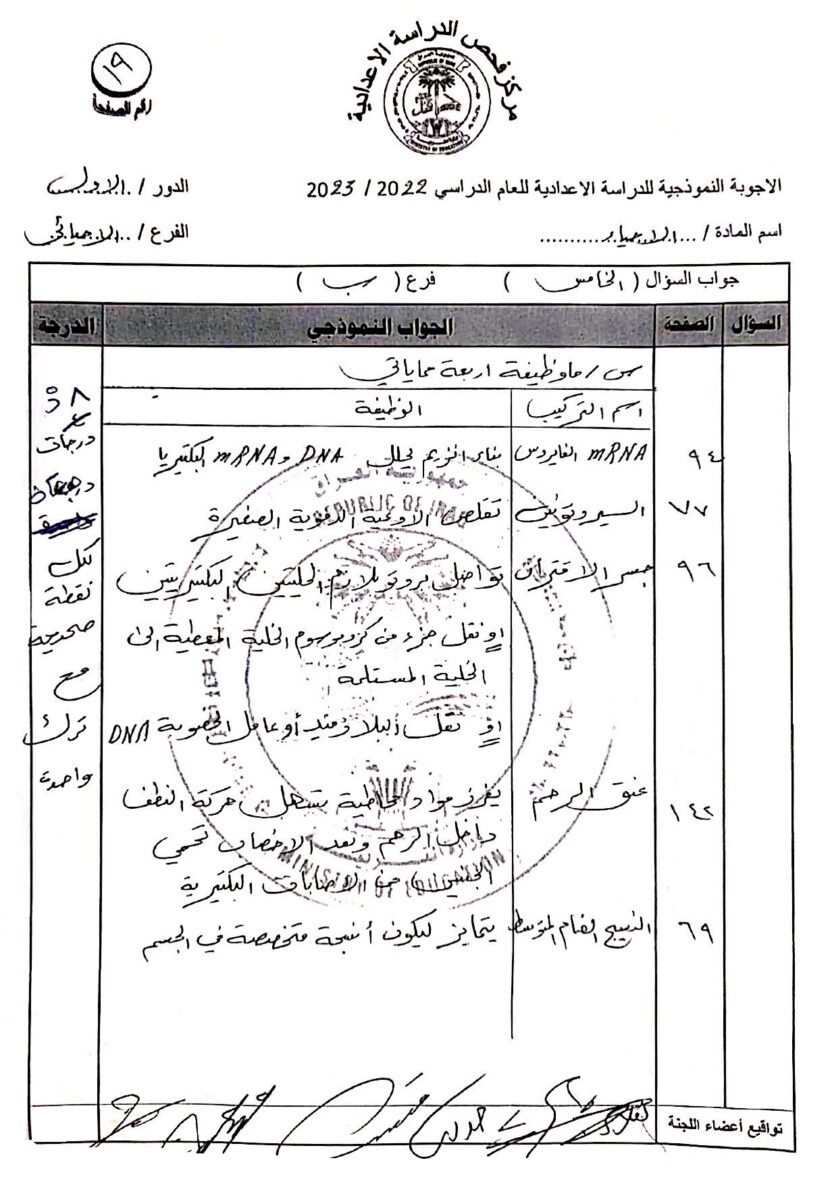 19 - موقع دليل التفوق