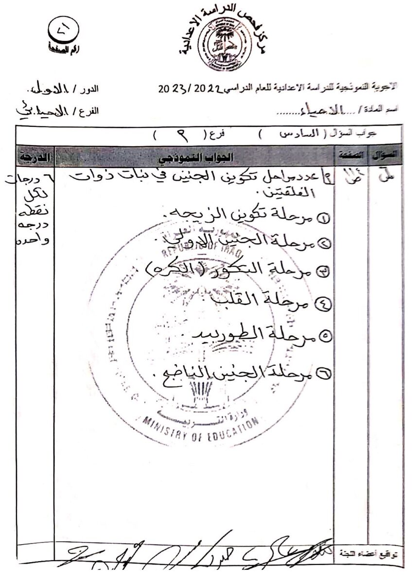 21 - موقع دليل التفوق