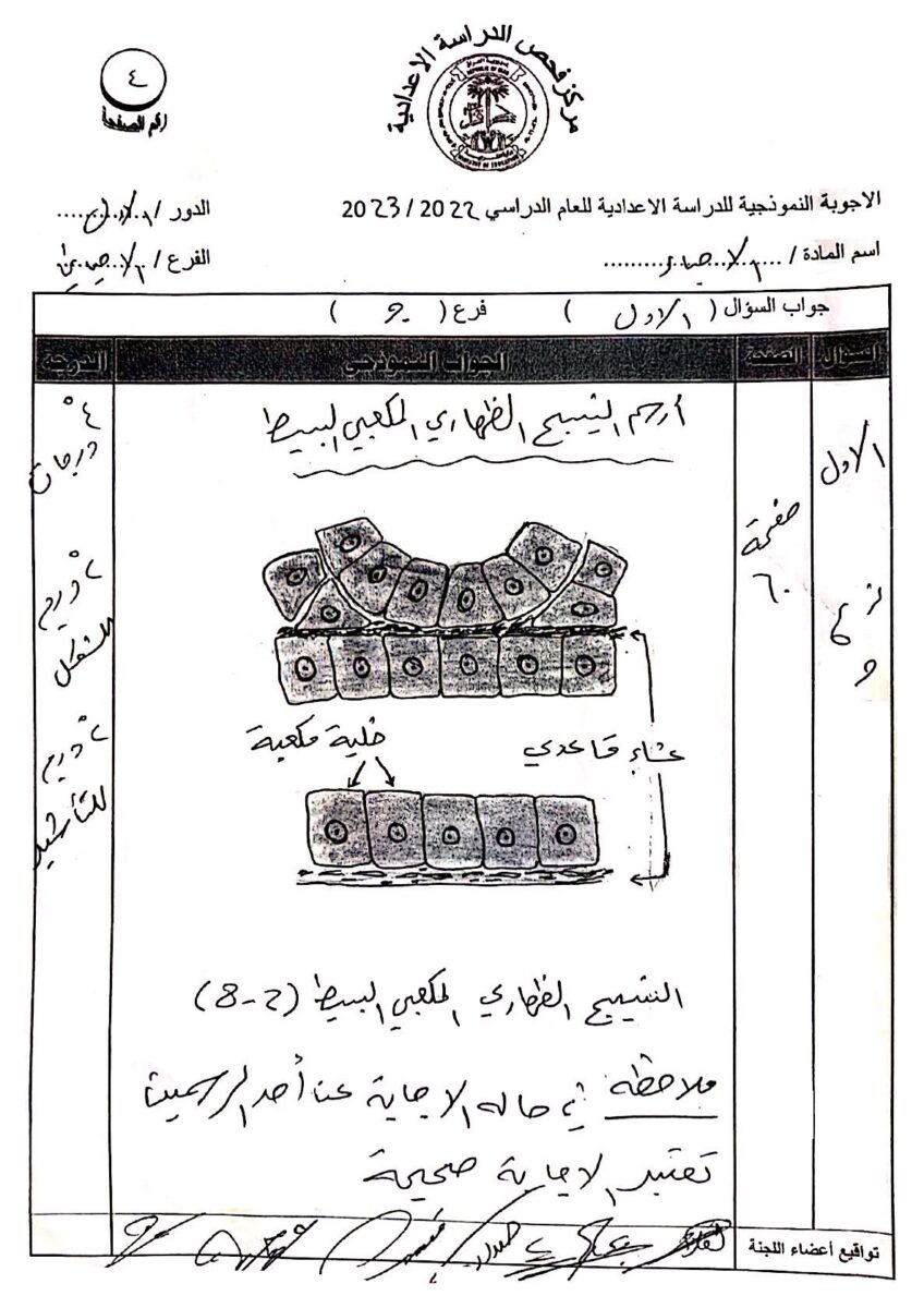 4 - موقع دليل التفوق