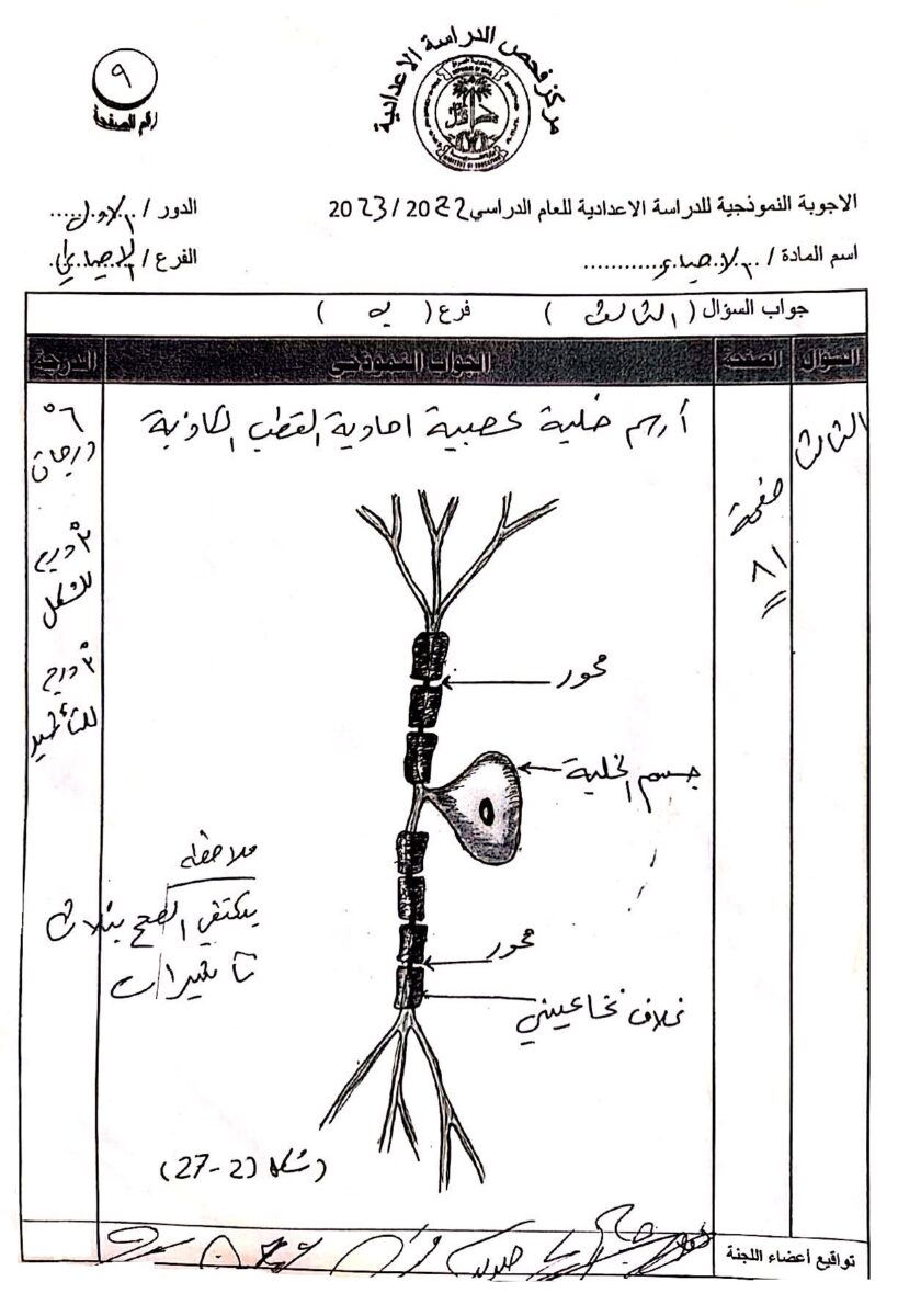 9 - موقع دليل التفوق